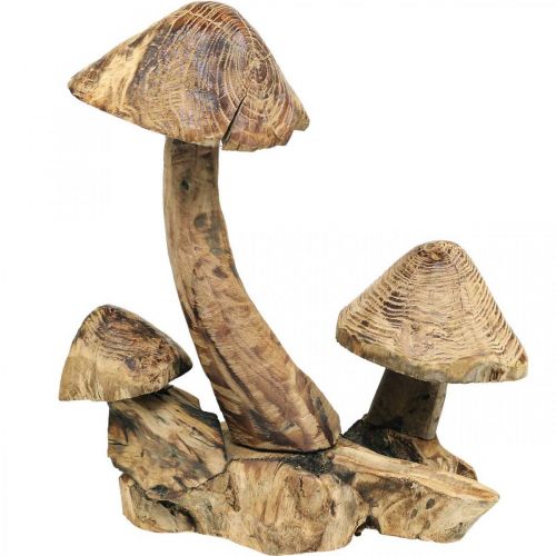 Mushroom group, paulownia wood, autumn decoration, wood sculpture H33cm L30cm