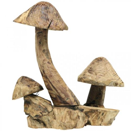 Floristik24 Mushroom group, paulownia wood, autumn decoration, wood sculpture H33cm L30cm