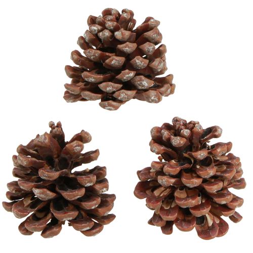 Product Pine cones natural large decorative pine cones 8-9 cm 3 pieces
