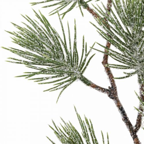 Christmas branches Pine branch Snowed 54cm 3pcs in bunch