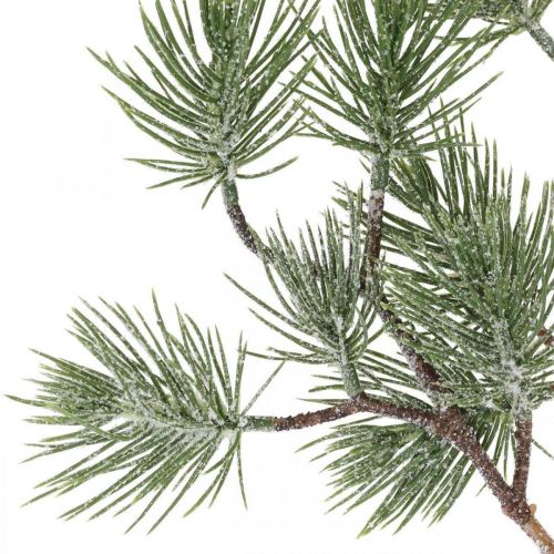 Floristik24 Christmas branch deco branch pine branch snowed 77cm