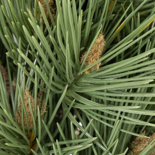 Artificial pine branch decorative bundle for arrangements 39cm 6pcs | Floristik24.ie