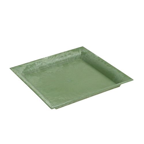 Floristik24 Plastic plate green square 19.5cm x 19.5cm
