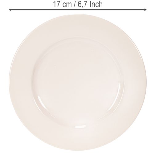 Round, simple plates for decoration and small arrangements, 17cm, 6 pieces | Floristik24.ie