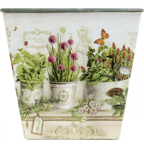 Product Herb pot, planter with motif, planter H13cm W13.5cm