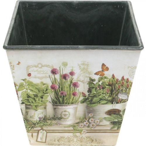 Product Herb pot, planter with motif, planter H13cm W13.5cm