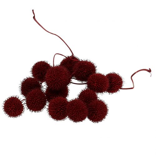 Floristik24 Plane tree fruits dried dark red 250g