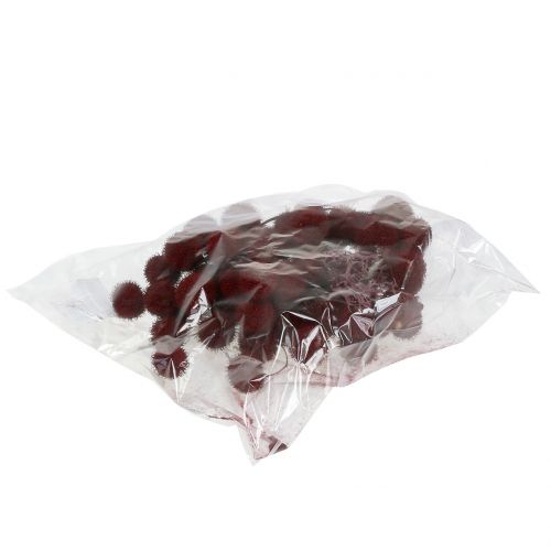 Floristik24 Plane tree fruits dried dark red 250g
