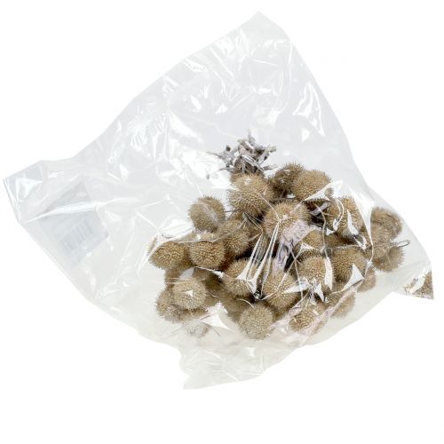 Floristik24 Plane fruits washed white 250g