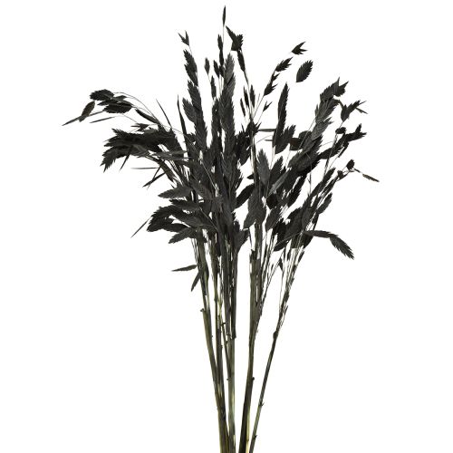 Product Black Chasmantium (Platelet Grass) 70cm Dried Flower Decoration 10 pcs