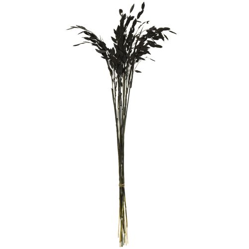 Product Black Chasmantium (Platelet Grass) 70cm Dried Flower Decoration 10 pcs