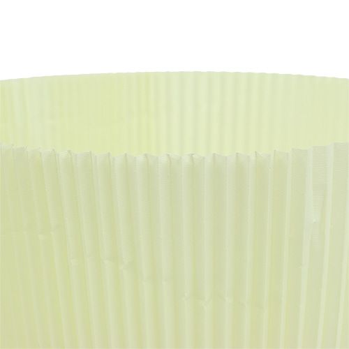 Floristik24 Pleated cuffs light yellow 18.5cm 100pcs.
