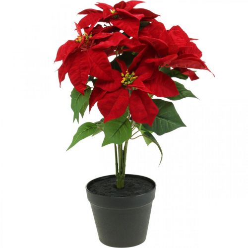 Artificial Christmas star red artificial flowers in a pot H53cm