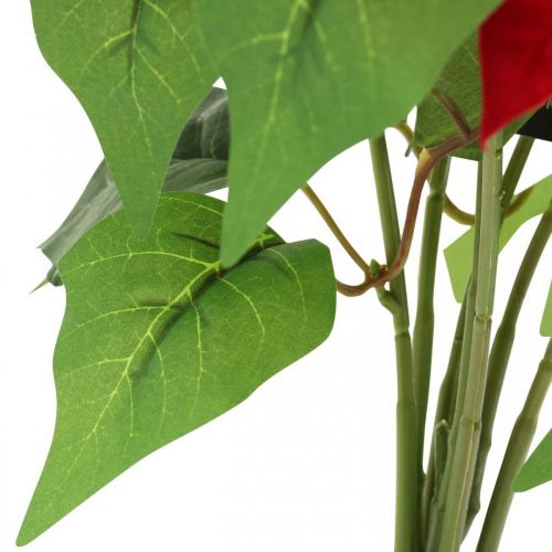 Floristik24 Artificial Christmas Star Red Artificial flowers in a pot H53cm