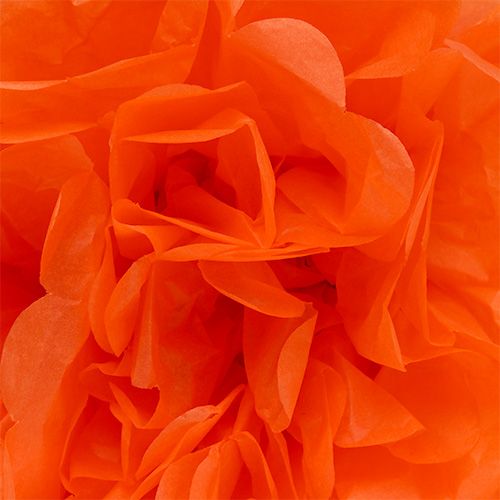 Product Pompom paper Ø30cm assorted 5pcs