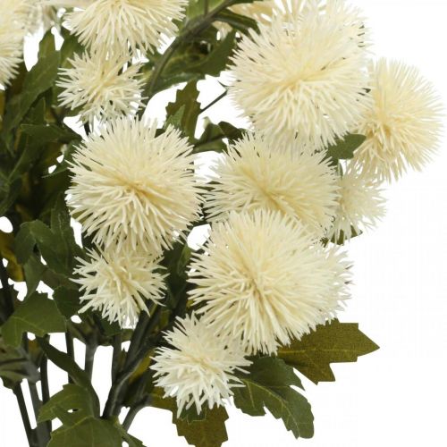 Floristik24 Pompom branch cream deco branch autumn 55cm 4pcs