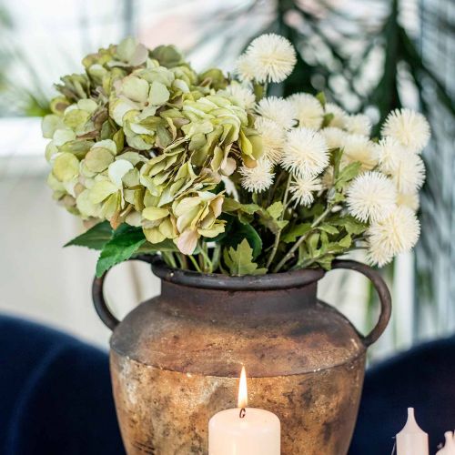 Floristik24 Pompom branch cream deco branch autumn 55cm 4pcs