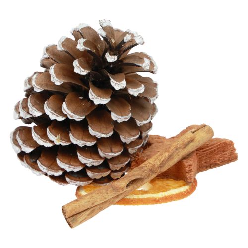 Floristik24 Potpourri Christmas orange slices cones cinnamon wood 150g