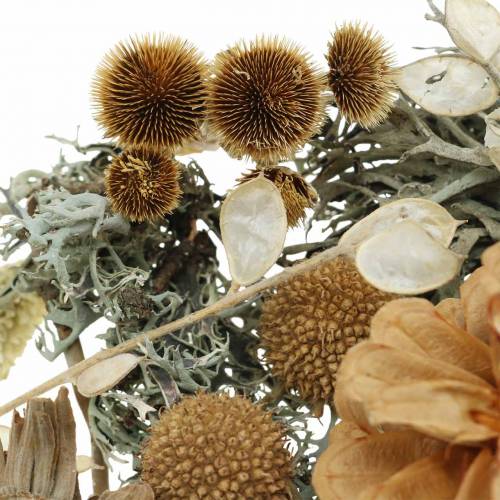 Floristik24 Herbstdeko Mix as a handicraft set Dried Bleached 150g