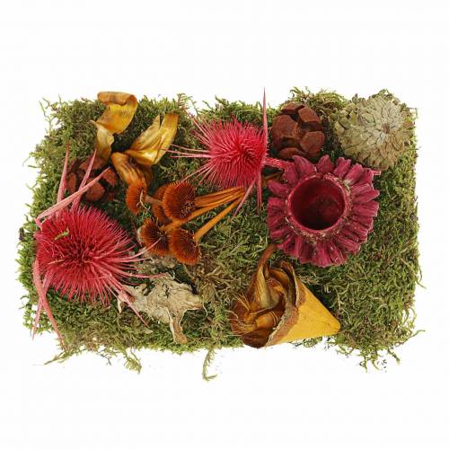 Dry floristry mix with cones and moss red 150g autumn decoration