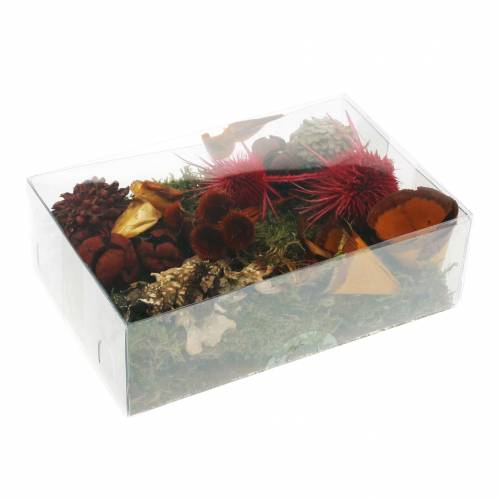 Floristik24 Dry floristry mix with cones and moss red 150g autumn decoration
