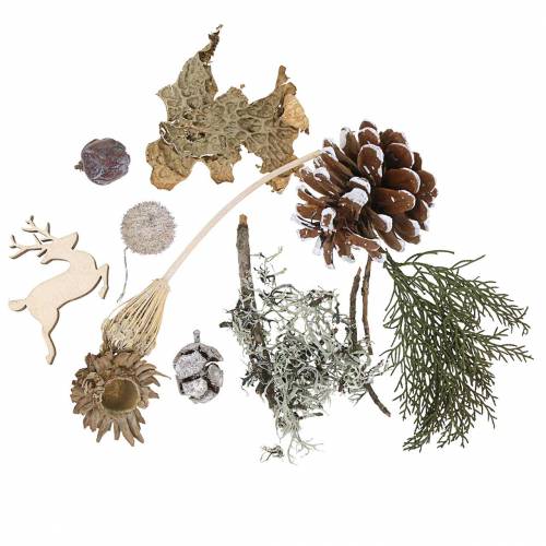 Floristik24 Dry floristry handicraft set Advent cones and moss white washed 150g