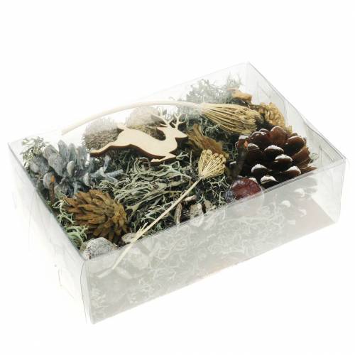Floristik24 Dry floristry handicraft set Advent cones and moss white washed 150g