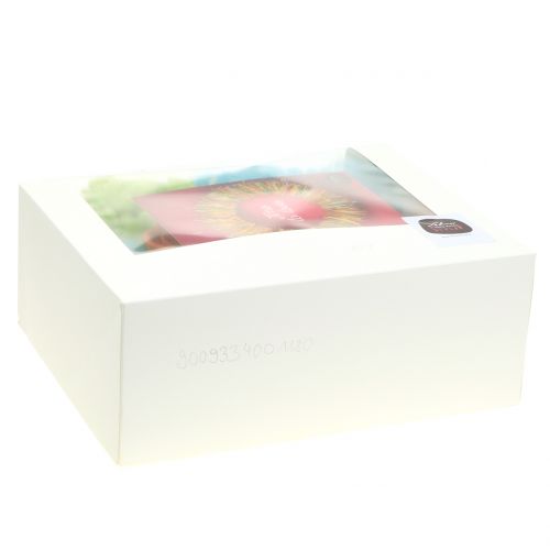 Floristik24 Handicraft set Lehner wool spring colored