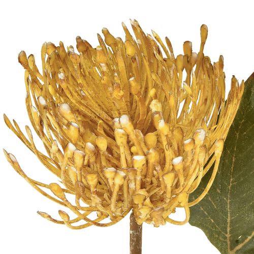 Product Protea artificial Leucospermum pincushion yellow 30cm 6 pcs