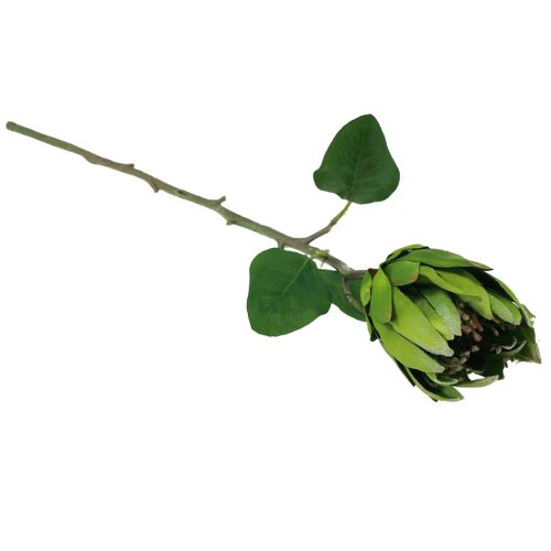Product Protea Green Red Artificial Flower Artificial Branch L65cm Ø5.5cm