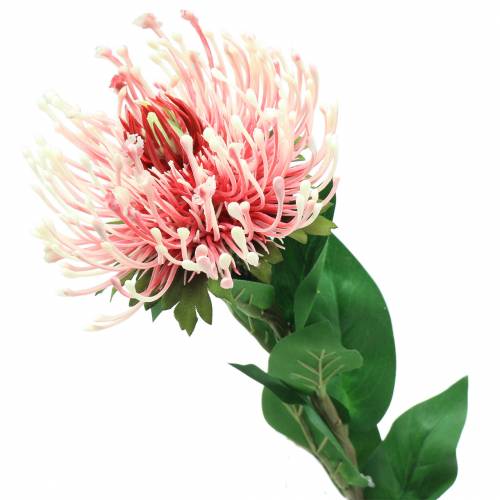 Product Protea Artificial Pink 73cm