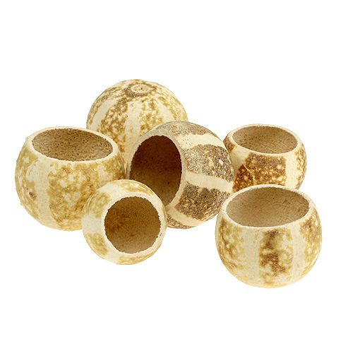 Pumkin Cup bleached 20 pcs