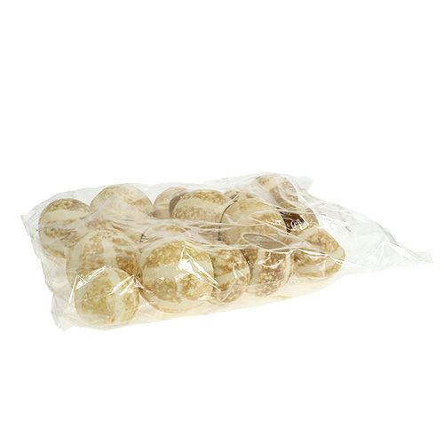 Floristik24 Pumkin Cup bleached 20 pcs