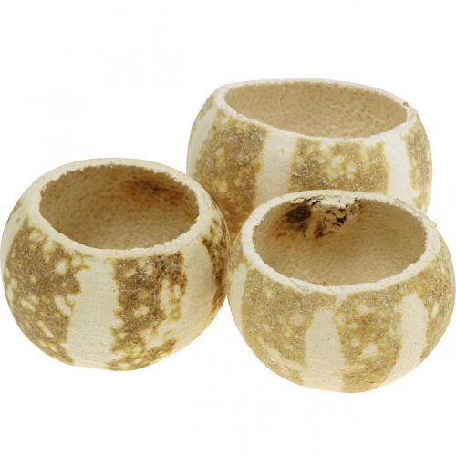 Pumpkin Decoration Bell Cup Pumpkin Cup bleached 50 pcs
