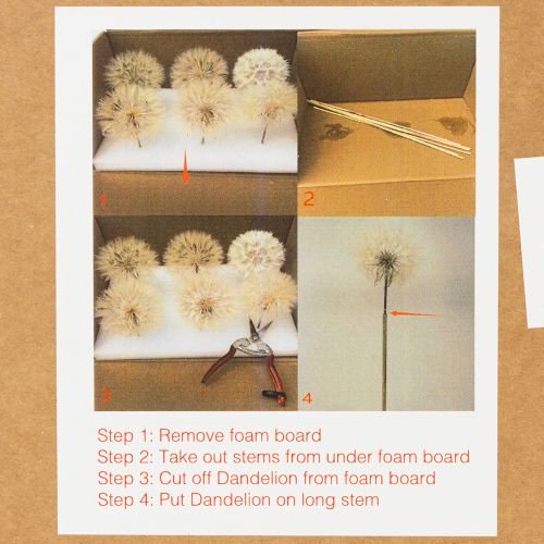 Product Dried dandelion flower, elegant, long-lasting, easy to care for, 50cm, 4 pieces