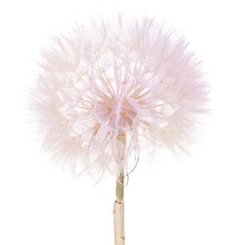 Artificial dandelion decorative flower for modern interior design, home accessory, 50cm, 4 pieces