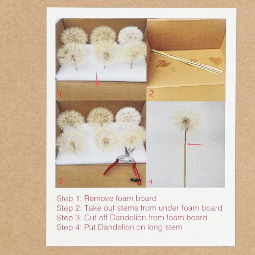 Product Decorative dandelion in white – delicate dried flowers for stylish arrangements Ø11cm 6 pcs