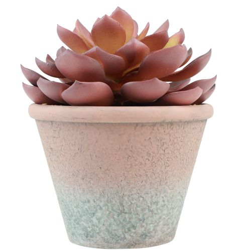 Product Succulent in pot Echeveria artificial red vintage Ø15cm H16cm