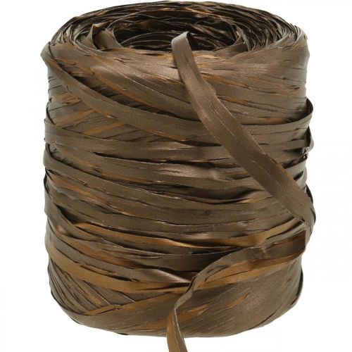 Floristik24 Raffia Ribbon Brown Bicolor Gift Ribbon Decorative Ribbon 200m