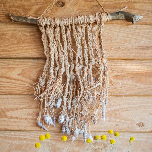 Floristik24 Mussel mix nature 3cm – 5cm 200g