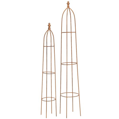 Floristik24 Trellis metal rust look obelisk 69/86cm set of 2