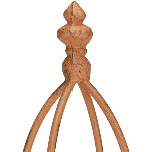 Floristik24 Trellis metal rust look obelisk 69/86cm set of 2