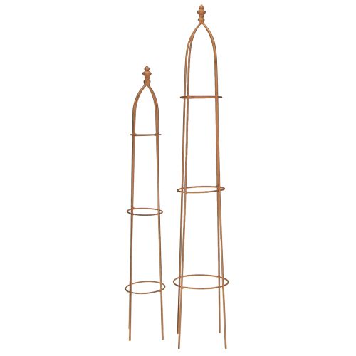 Floristik24 Trellis metal rust look obelisk 69/86cm set of 2
