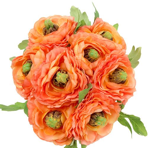 Floristik24 Ranunculus orange 27cm 8pcs