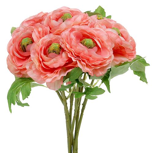 Floristik24 Ranunculus rose-pink 27cm 8pcs