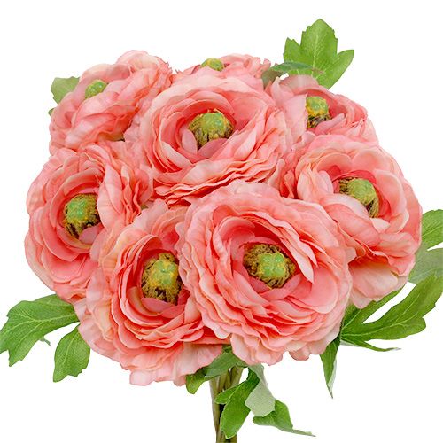 Floristik24 Ranunculus rose-pink 27cm 8pcs