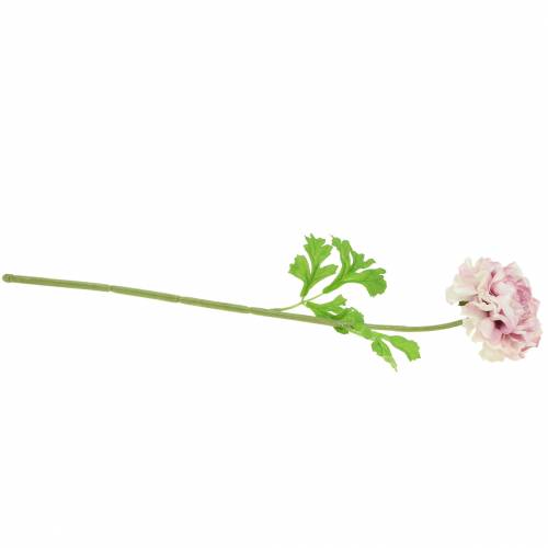 Product Ranunculus lilac H45cm