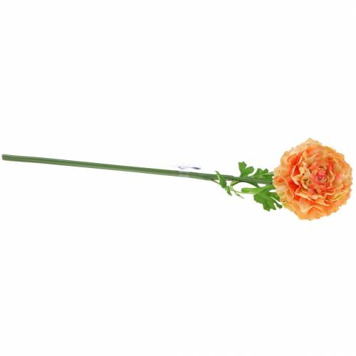 Product Ranunculus salmon H45cm