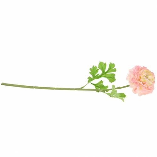 Product Ranunculus pink H45cm