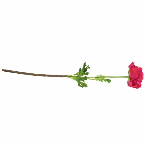 Floristik24 Ranunculus dark pink artificial 51cm
